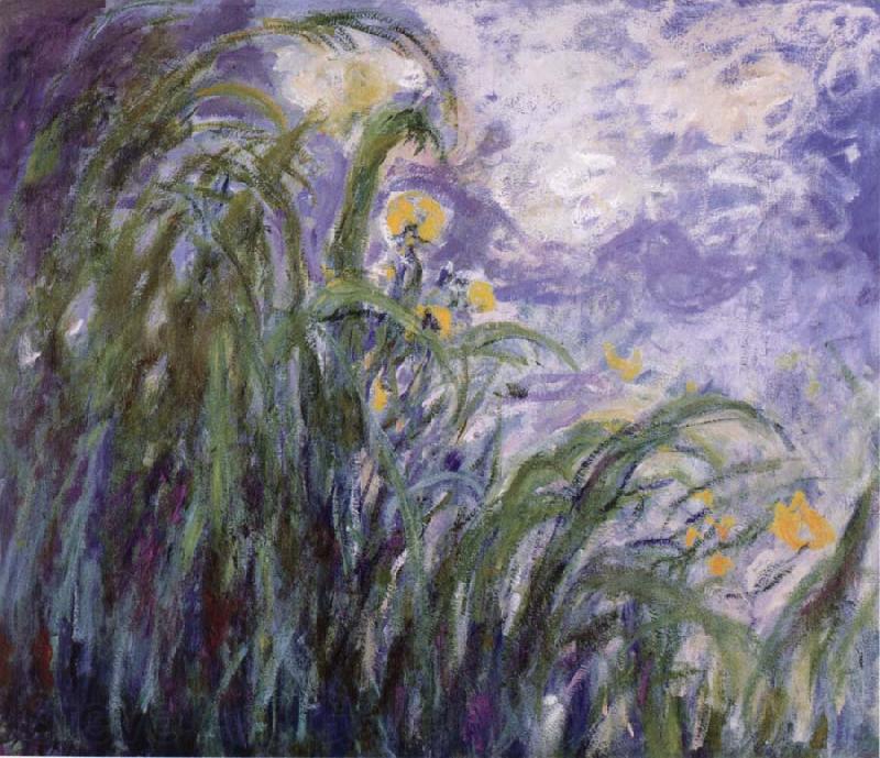 Claude Monet Yellow Irises Norge oil painting art